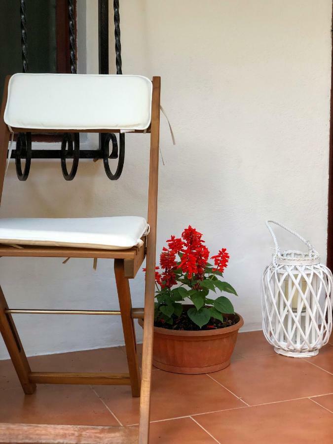 Apartment Nicolas Kotor Buitenkant foto